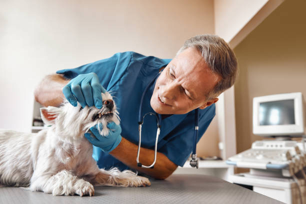 Best Emergency Broken Tooth Repair in Zeeland, MI